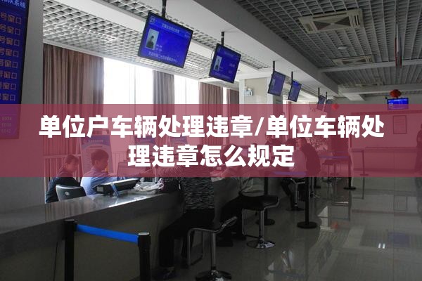 单位户车辆处理违章/单位车辆处理违章怎么规定 单位户车辆处理违章/单位车辆处理违章怎么规定