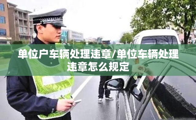 单位户车辆处理违章/单位车辆处理违章怎么规定 单位户车辆处理违章/单位车辆处理违章怎么规定