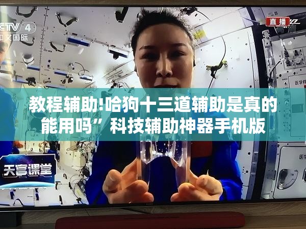 教程辅助!哈狗十三道辅助是真的能用吗”科技辅助神器手机版