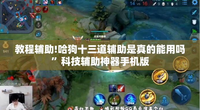 教程辅助!哈狗十三道辅助是真的能用吗	”科技辅助神器手机版