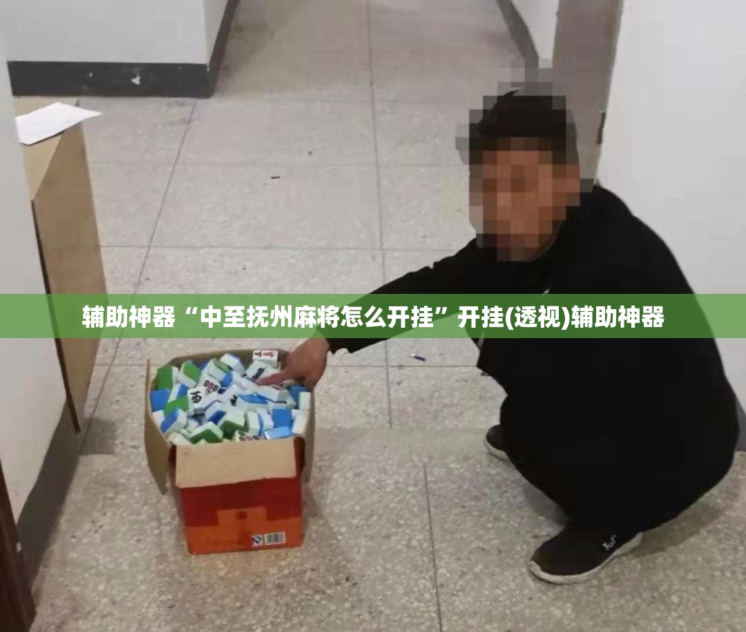 辅助神器“中至抚州麻将怎么开挂”开挂(透视)辅助神器