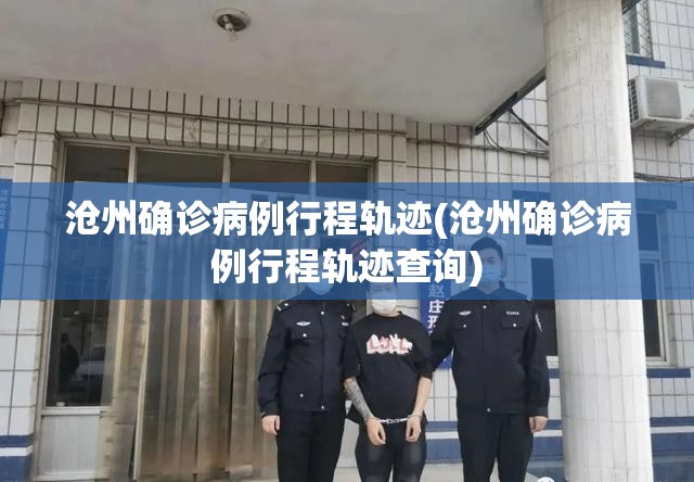 沧州确诊病例行程轨迹(沧州确诊病例行程轨迹查询) 沧州确诊病例行程轨迹(沧州确诊病例行程轨迹查询)