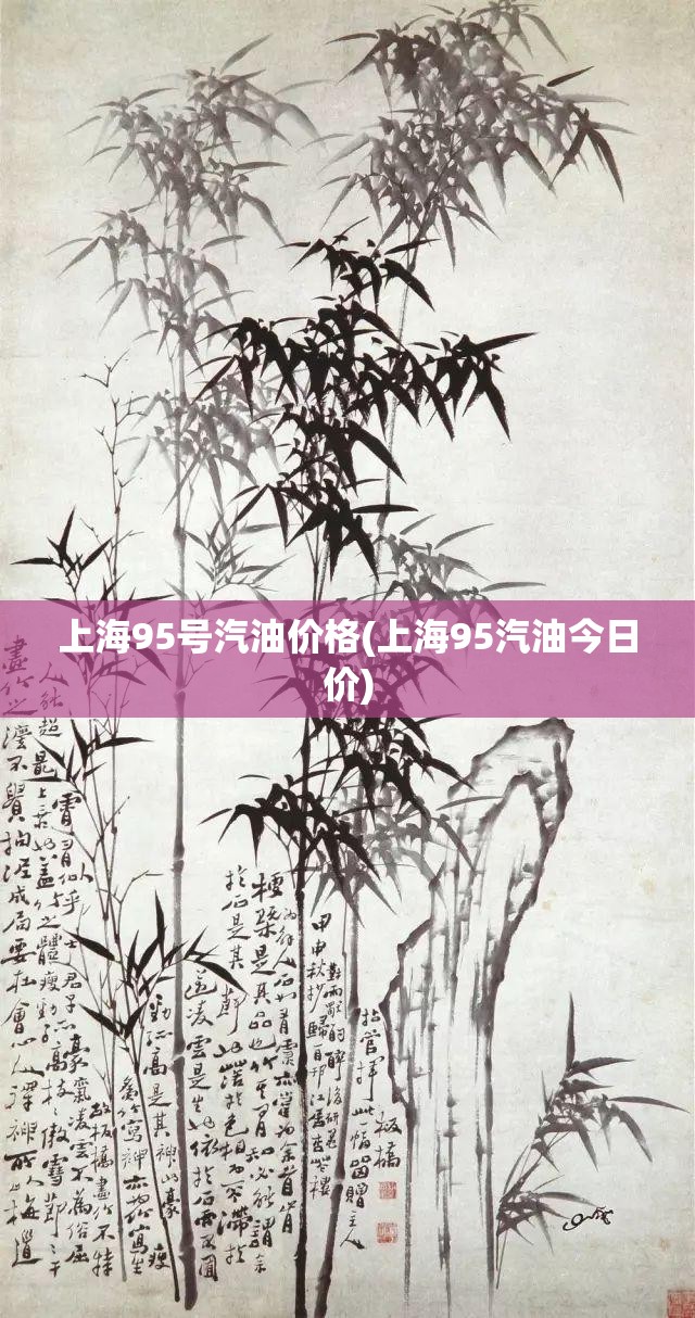 上海95号汽油价格(上海95汽油今日价)
