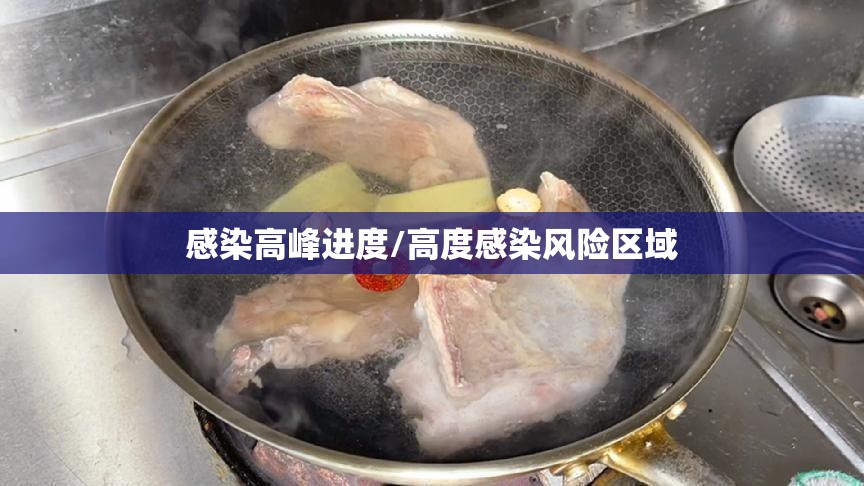 感染高峰进度/高度感染风险区域 感染高峰进度/高度感染风险区域