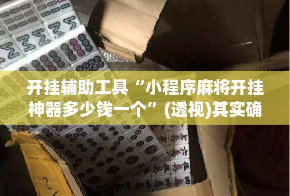 开挂辅助工具“小程序麻将开挂神器多少钱一个”(透视)其实确实有挂