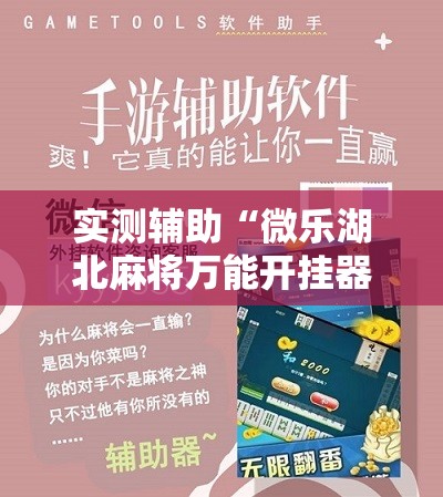 实测辅助“微乐湖北麻将万能开挂器”科技辅助神器手机版