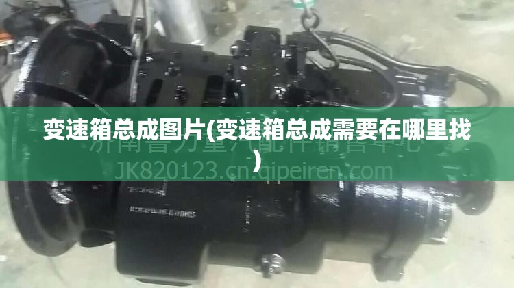 变速箱总成图片(变速箱总成需要在哪里找) 变速箱总成图片(变速箱总成需要在哪里找)