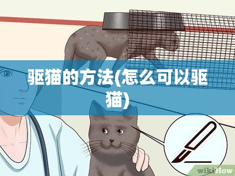 驱猫的方法(怎么可以驱猫) 驱猫的方法(怎么可以驱猫)