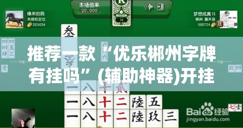 推荐一款“优乐郴州字牌有挂吗”(辅助神器)开挂详细教程