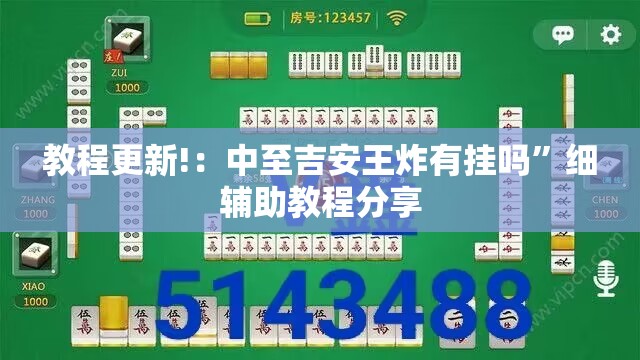 教程更新!：中至吉安王炸有挂吗”细辅助教程分享