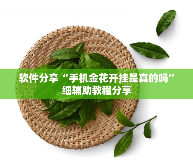软件分享“手机金花开挂是真的吗	”细辅助教程分享