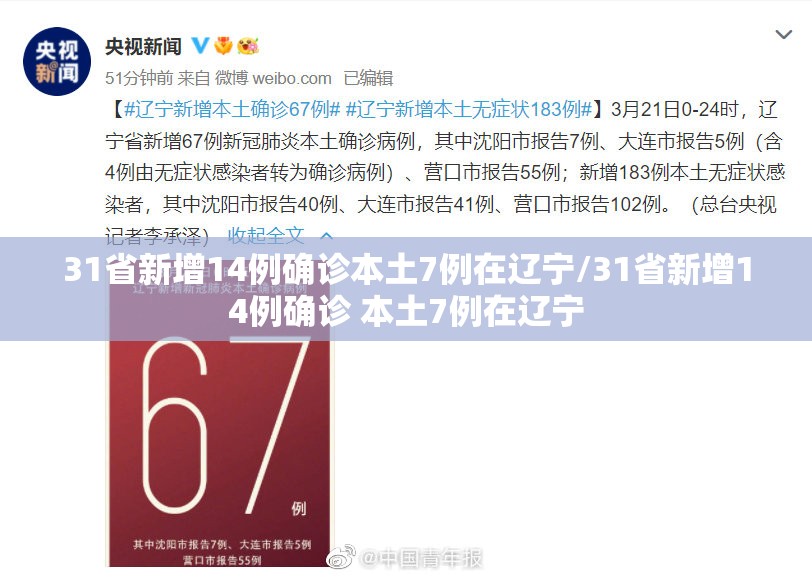 31省新增14例确诊本土7例在辽宁/31省新增14例确诊 本土7例在辽宁