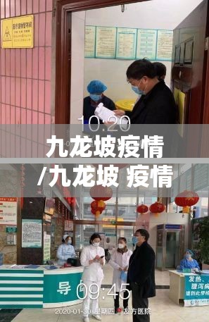 九龙坡疫情/九龙坡 疫情 九龙坡疫情/九龙坡 疫情