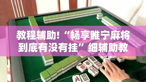 教程辅助!“畅享睢宁麻将到底有没有挂”细辅助教程分享