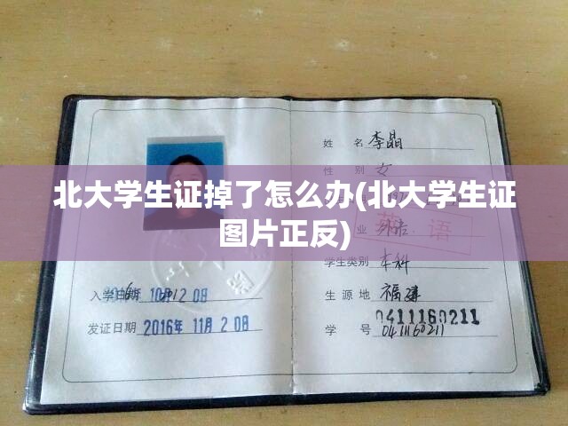 北大学生证掉了怎么办(北大学生证图片正反)
