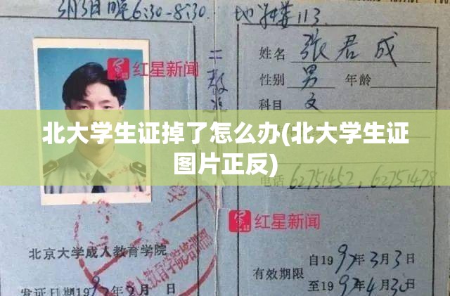 北大学生证掉了怎么办(北大学生证图片正反)