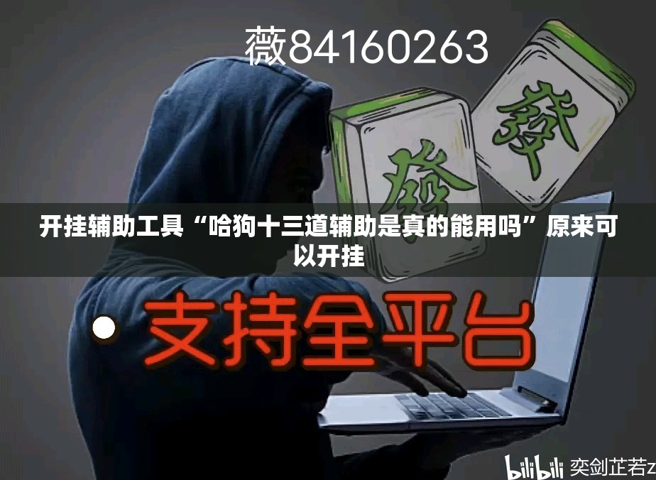 开挂辅助工具“哈狗十三道辅助是真的能用吗”原来可以开挂