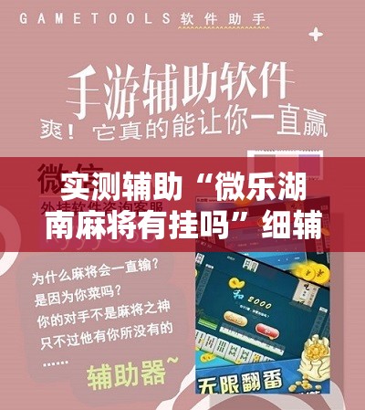 实测辅助“微乐湖南麻将有挂吗”细辅助教程分享