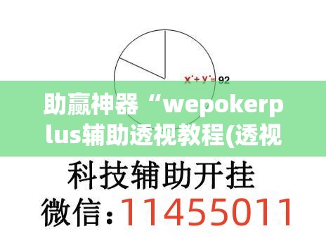 助赢神器“wepokerplus辅助透视教程(透视)”开挂辅助脚本+详细开挂安装教程