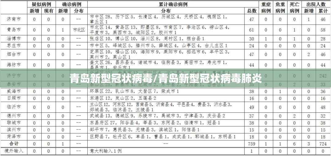 青岛新型冠状病毒/青岛新型冠状病毒肺炎 青岛新型冠状病毒/青岛新型冠状病毒肺炎