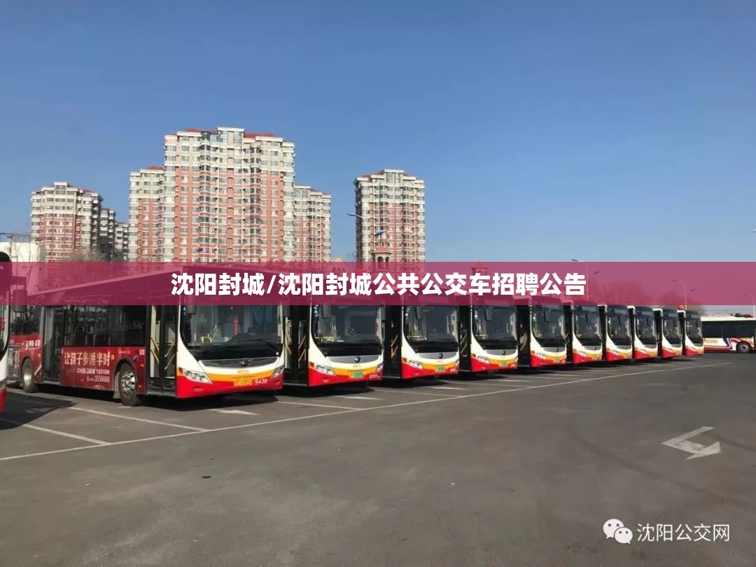 沈阳封城/沈阳封城公共公交车招聘公告 沈阳封城/沈阳封城公共公交车招聘公告