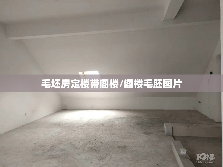 毛坯房定楼带阁楼/阁楼毛胚图片 毛坯房定楼带阁楼/阁楼毛胚图片