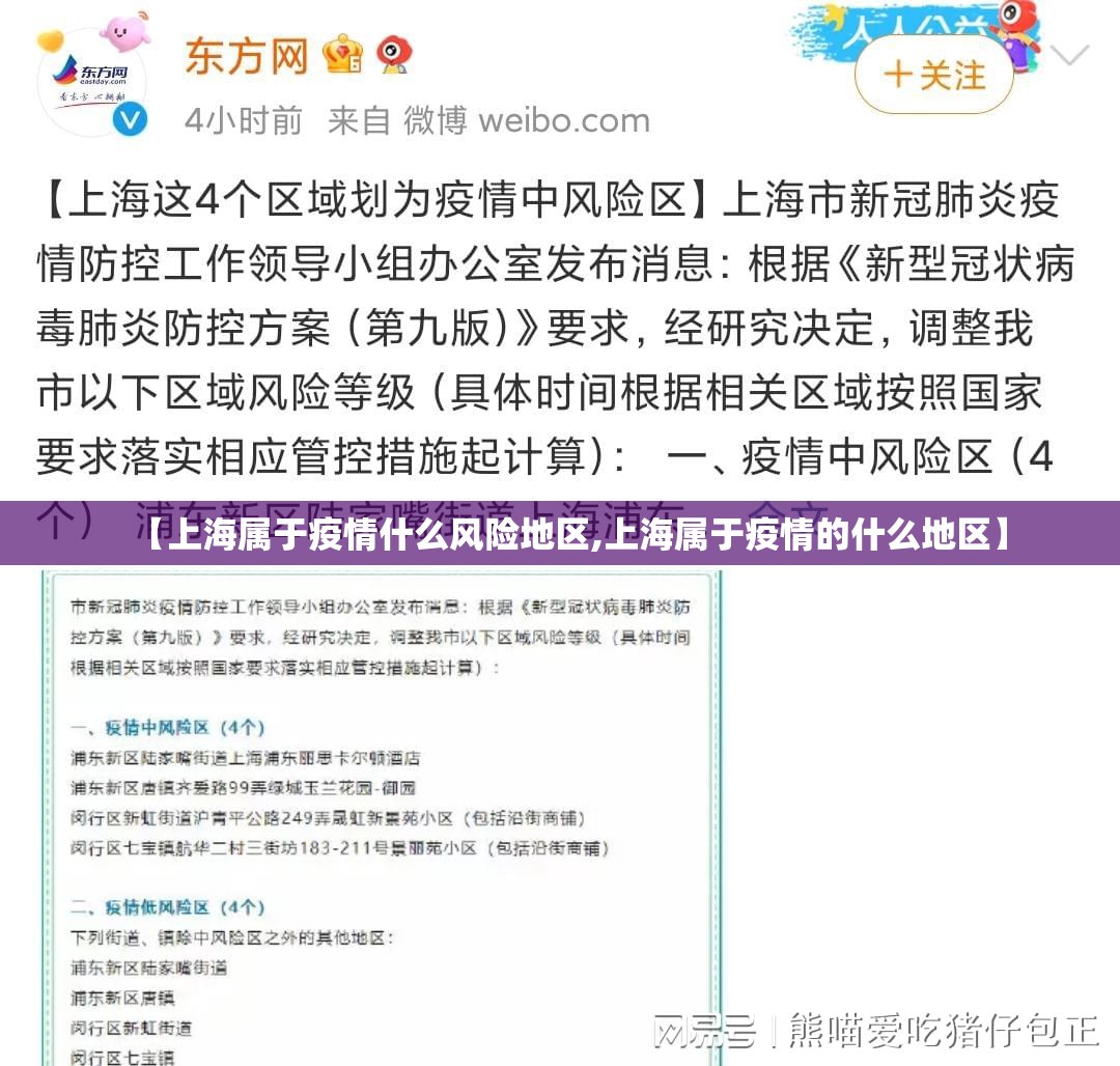 【上海属于疫情什么风险地区,上海属于疫情的什么地区】