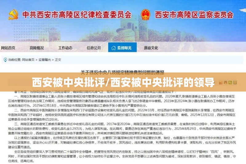 西安被中央批评/西安被中央批评的领导