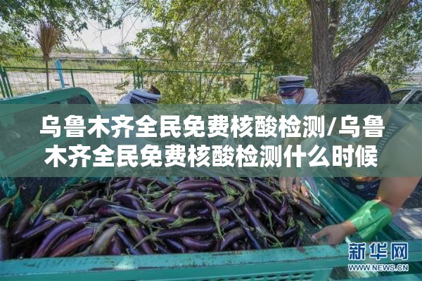 乌鲁木齐全民免费核酸检测/乌鲁木齐全民免费核酸检测什么时候出结果