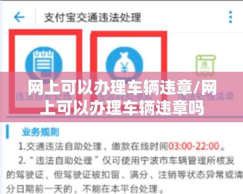 网上可以办理车辆违章/网上可以办理车辆违章吗 网上可以办理车辆违章/网上可以办理车辆违章吗