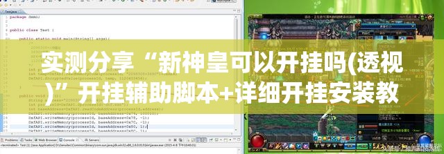 实测分享“新神皇可以开挂吗(透视)”开挂辅助脚本+详细开挂安装教程