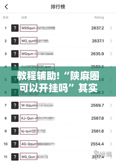 教程辅助!“陕麻圈可以开挂吗”其实确实有挂