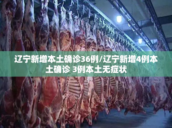 辽宁新增本土确诊36例/辽宁新增4例本土确诊 3例本土无症状 辽宁新增本土确诊36例/辽宁新增4例本土确诊 3例本土无症状