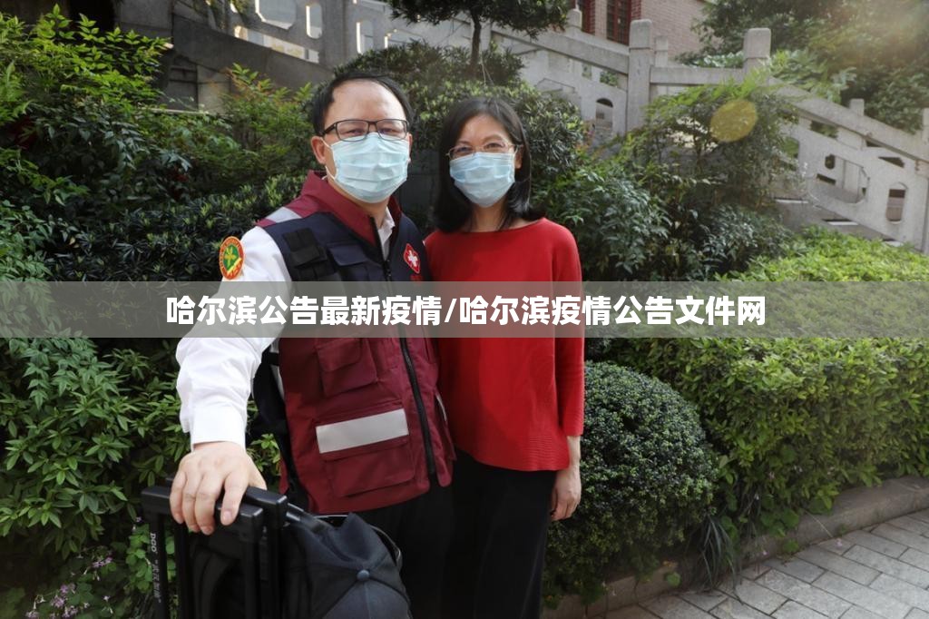 哈尔滨公告最新疫情/哈尔滨疫情公告文件网