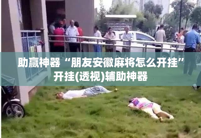 助赢神器“朋友安徽麻将怎么开挂”开挂(透视)辅助神器
