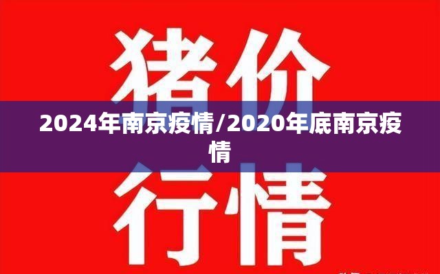 2024年南京疫情/2020年底南京疫情 2024年南京疫情/2020年底南京疫情