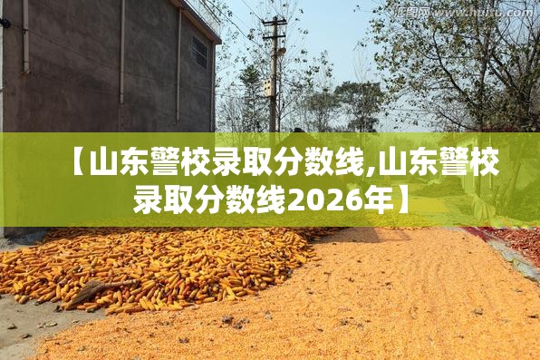 【山东警校录取分数线,山东警校录取分数线2026年】