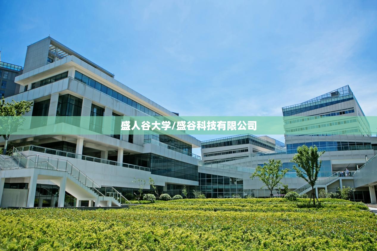 盛人谷大学/盛谷科技有限公司 盛人谷大学/盛谷科技有限公司
