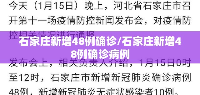 石家庄新增48例确诊/石家庄新增48例确诊病例