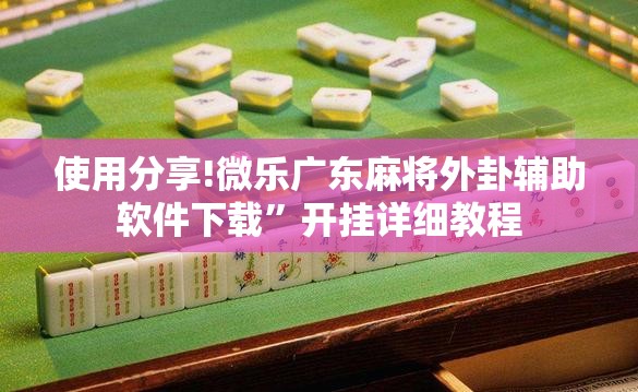 使用分享!微乐广东麻将外卦辅助软件下载”开挂详细教程