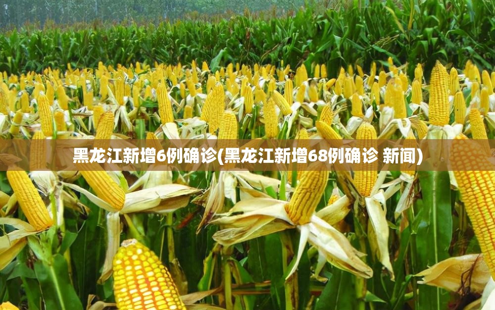 黑龙江新增6例确诊(黑龙江新增68例确诊 新闻)