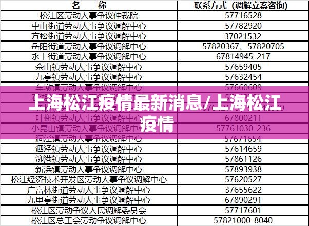 上海松江疫情最新消息/上海松江 疫情