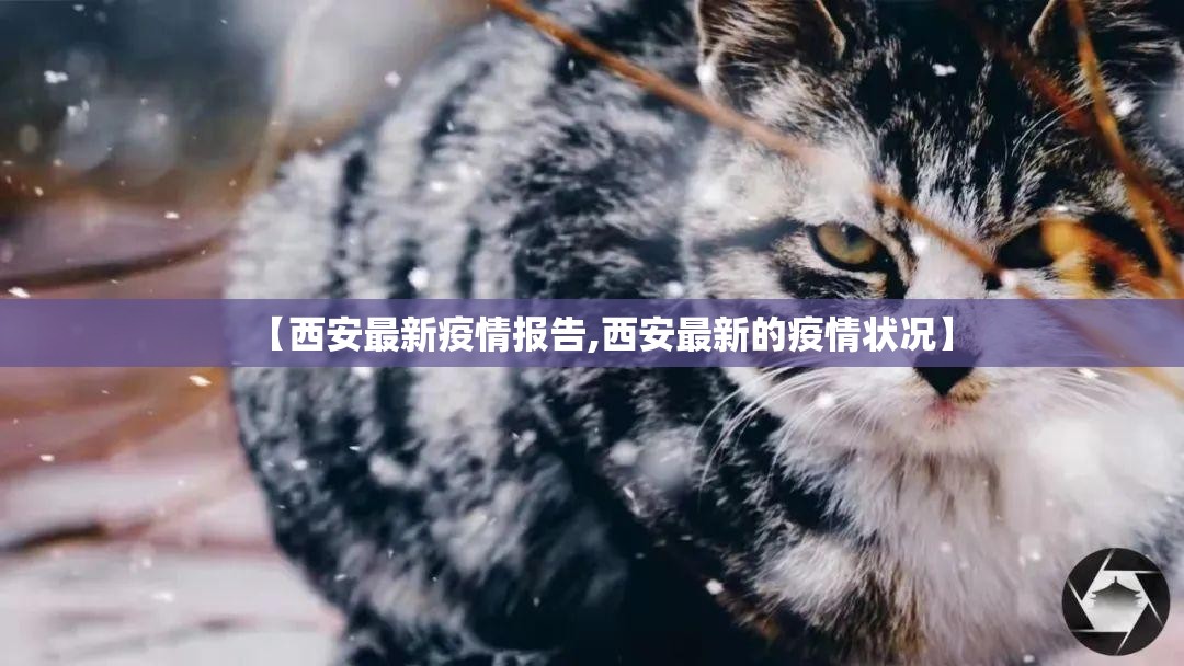 【西安最新疫情报告,西安最新的疫情状况】