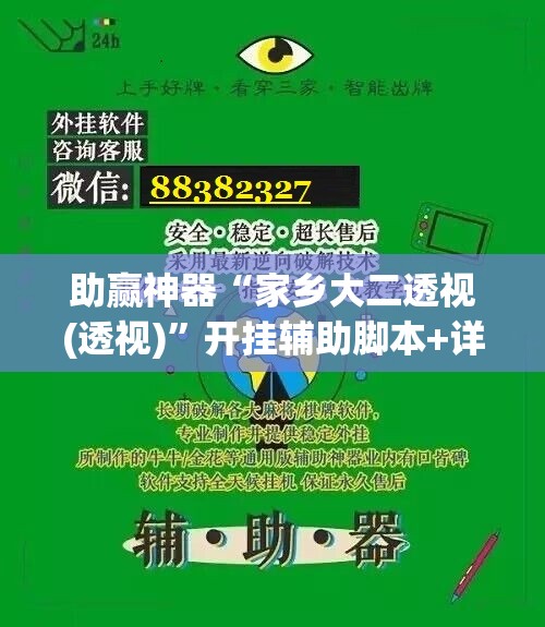 助赢神器“家乡大二透视(透视)”开挂辅助脚本+详细开挂安装教程