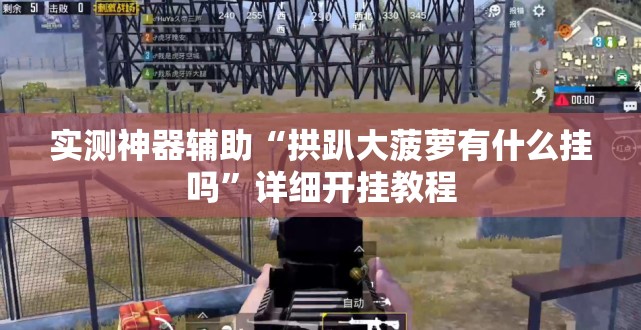 实测神器辅助“拱趴大菠萝有什么挂吗”详细开挂教程