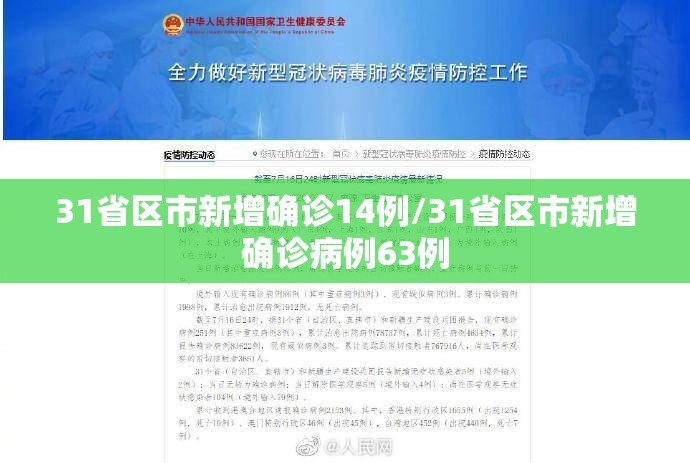 31省区市新增确诊14例/31省区市新增确诊病例63例 31省区市新增确诊14例/31省区市新增确诊病例63例
