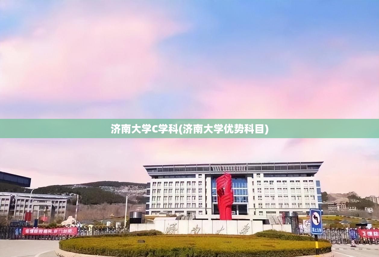 济南大学C学科(济南大学优势科目) 济南大学C学科(济南大学优势科目)