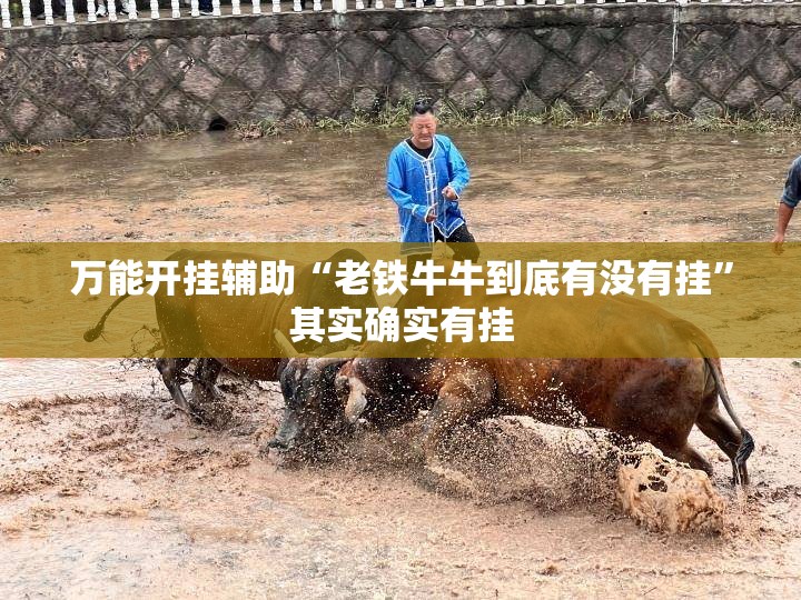 万能开挂辅助“老铁牛牛到底有没有挂	”其实确实有挂