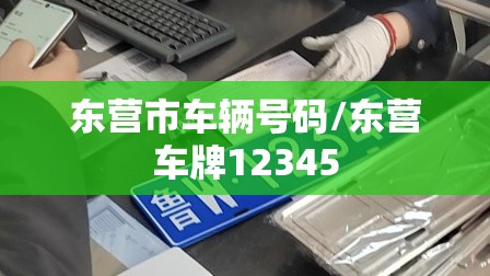 东营市车辆号码/东营车牌12345 东营市车辆号码/东营车牌12345