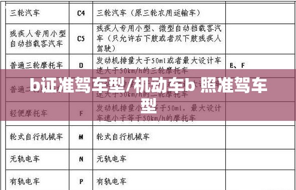 b证准驾车型/机动车b 照准驾车型 b证准驾车型/机动车b 照准驾车型